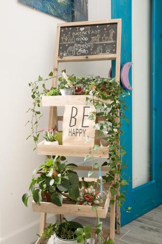 Imagen de la galería de Elisir B&B, en Anacapri