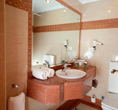 a bathroom with a sink and a mirror at Hotel Flamenco Cairo in Cairo