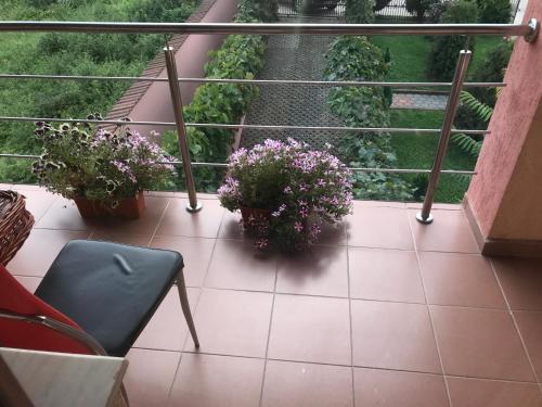 a balcony with two potted plants and a chair at Vila La Izvor in Petreşti