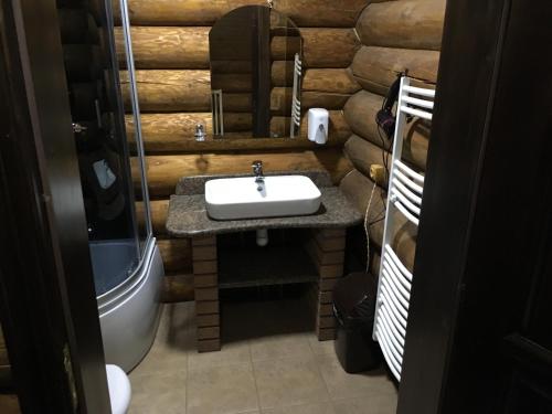 a bathroom with a sink in a log cabin at Sadyba Sribne Dzherelo in Ilʼnytsya