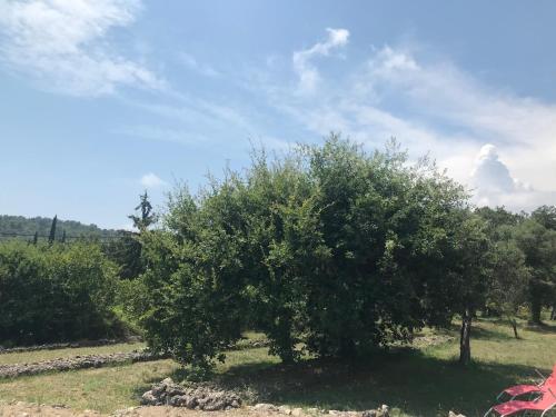 Φυσικό τοπίο κοντά σε αυτή η παραθεριστική κατοικία