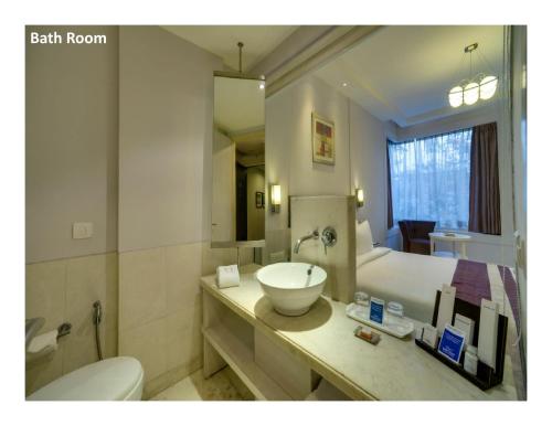 新德里的住宿－納薩諾瓦波迪克納萊納酒店，浴室配有盥洗盆、卫生间和浴缸。