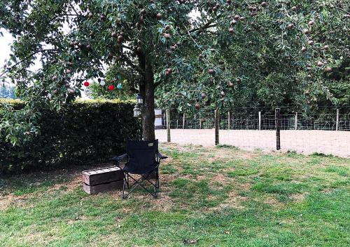 a chair sitting under a tree in a field at B&B Zandhuizen in Zandhuizen
