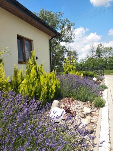a garden with purple flowers next to a house at Swojski Klimat in Płońsk