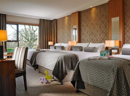 Gallery image of Newpark Hotel in Kilkenny