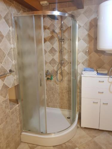 a shower with a glass door in a bathroom at Gudelj Apartments in Perast