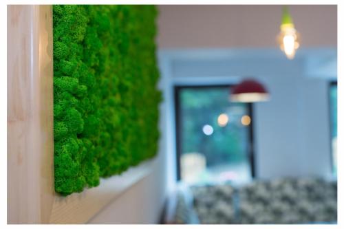 a wall covered in green moss at Pensiunea Antia in Durau