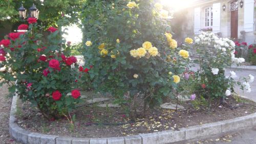 Au Clos de l'Epinay – Photos 5