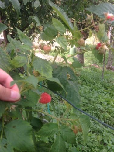 Un jardín fuera de Agriturismo I Due Regni