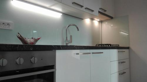Kuchyňa alebo kuchynka v ubytovaní Apartment Osk