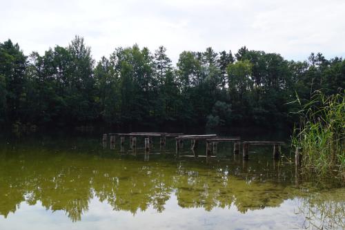 a group of picnic tables sitting in the water at Ferienwohnung Rehagen Süd in Mellensee
