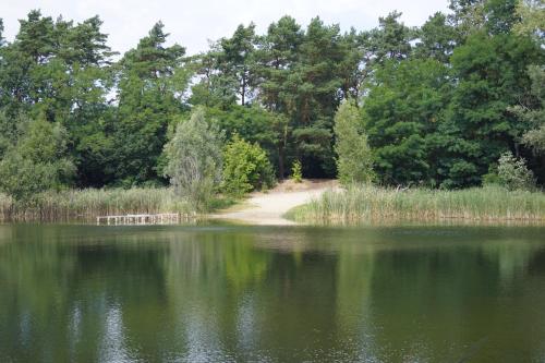 a lake with a dirt trail and trees in the background at Ferienwohnung Rehagen Süd in Mellensee