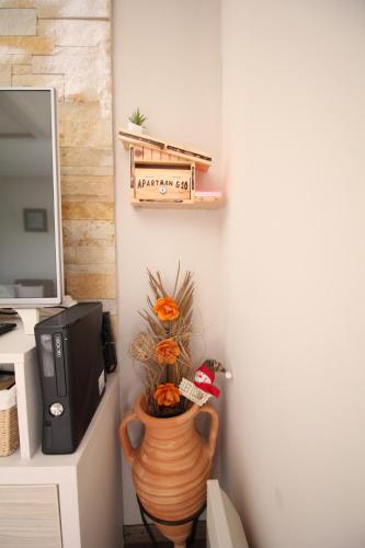 a plant in a vase next to a tv at Apartment G10 Milmari resort in Kopaonik