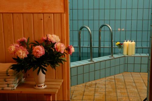 Fotografie z fotogalerie ubytování Hotel Wachau v destinaci Melk