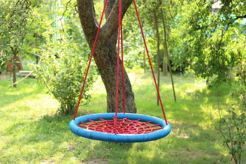 a red and blue swing hanging from a tree at Privát Čerenica in Beluša