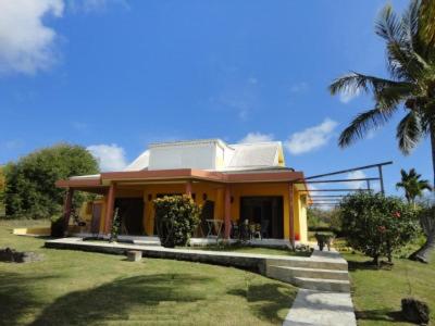 聖安妮的住宿－Villas Créoles，一座小黄色房子,在院子里种着棕榈树