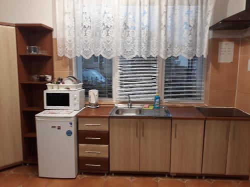 a small kitchen with a sink and a microwave at Hercules in Truskavets