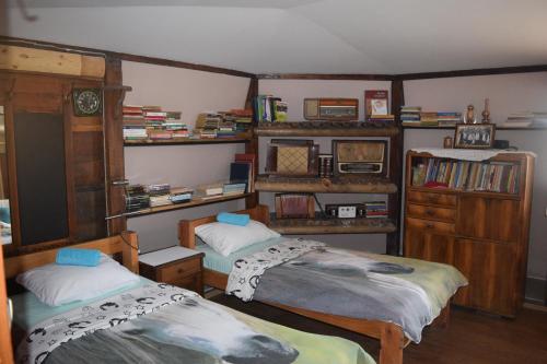 una camera con due letti e una libreria di Apartment Jancic a Smederevo