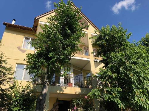 Yellow Guest House – Photos 2