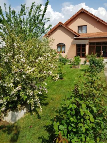 Gallery image of Casa Daria in Haţeg