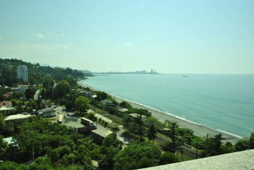 a view of a beach and the ocean at the View Apartment in Makhinjauri