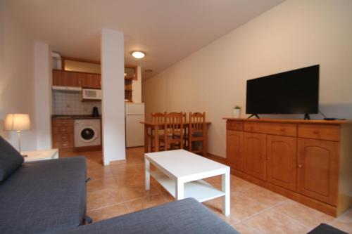 a living room with a couch and a flat screen tv at Pont de Toneta 1,5 Ransol, Zona Grandvalira in Ransol