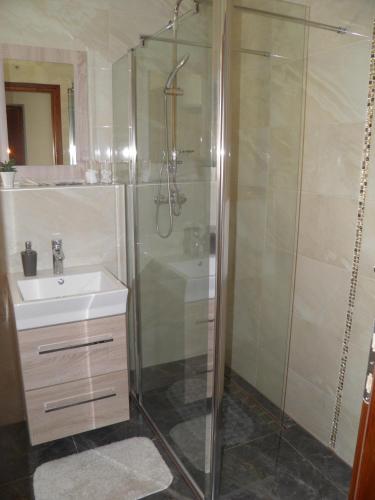 a bathroom with a shower and a sink at Donna in Grabovac