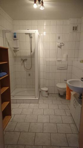 a bathroom with a shower and a toilet and a sink at Gasthaus zum Löwen in Seckach