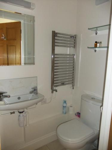 y baño con aseo, lavabo y espejo. en St Mary’s Lodge B and B en Kings Lynn