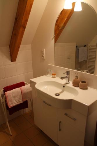 une salle de bain avec un lavabo et un miroir dans l'établissement La Héraudière Bed & Breakfast, à Tours