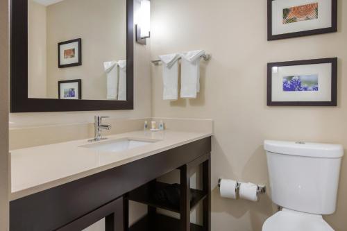 Comfort Suites - South Austin tesisinde bir banyo