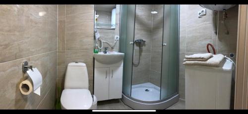 a bathroom with a shower and a toilet and a sink at Mega city in Kyiv