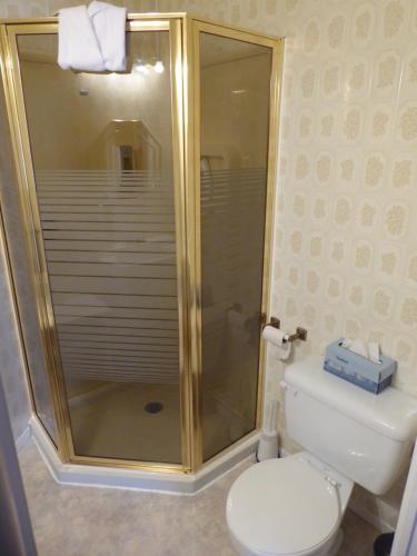 y baño con ducha y aseo. en Hébergement Maison Fortier en Tadoussac
