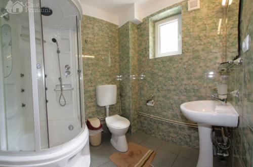 Ванная комната в Pensiunea Limpedea
