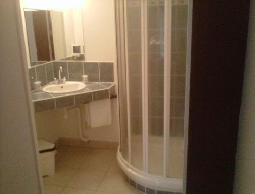 a bathroom with a shower and a sink at Les Chambres d'Hôtes de l'Elysée in Pontrieux