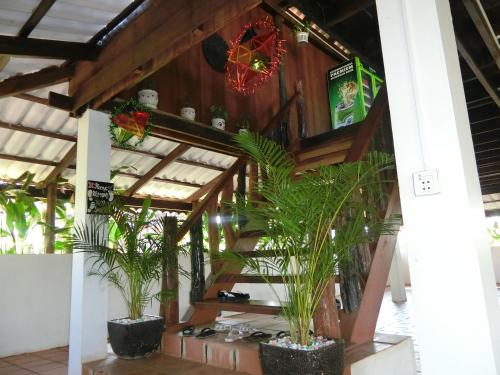 a room with a bunch of plants in pots at Greenhouse Retreat in Sen Monorom