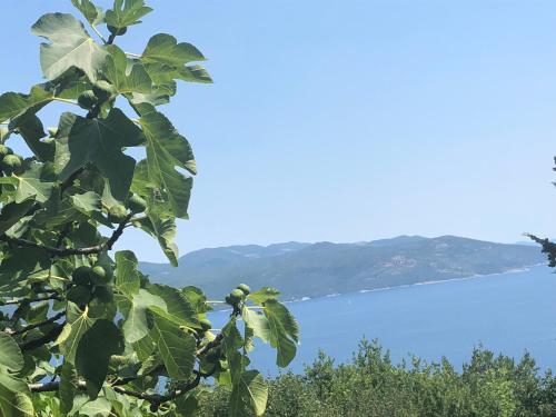 Gallery image of Holiday Home Sea view in Brseč
