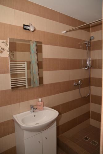 uma casa de banho com um lavatório e um chuveiro em Bogdan si Raluca em Călimăneşti