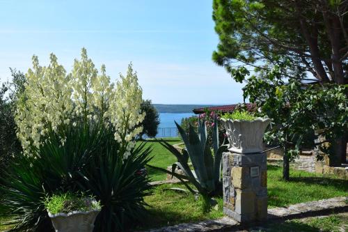 Fotografie z fotogalerie ubytování Hostel Panorama Portorož v Portoroži