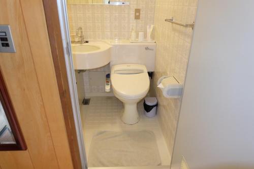 a small bathroom with a toilet and a sink at Hotel Takimoto in Yamanouchi