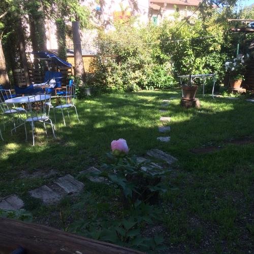 a flower in the grass in a yard at Villa Fedora in Lizzano in Belvedere