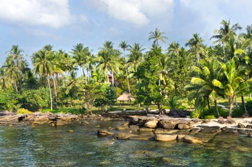 a group of palm trees and a body of water at Shantaa Resort, Kohkood in Ko Kood