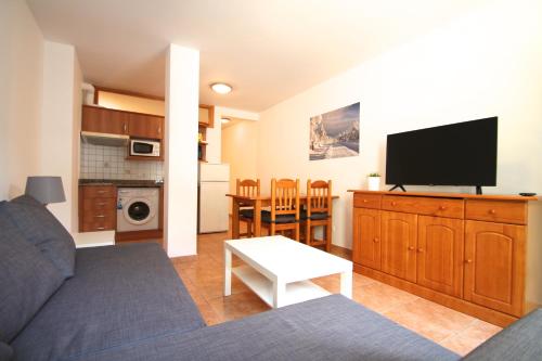uma sala de estar com um sofá e uma televisão de ecrã plano em Pont de Toneta 3,5 Ransol, Zona Grandvalira em Ransol