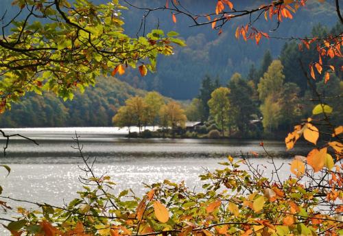 a view of a lake with trees in the background at Ferienwohnung am Eifelsteig in Roetgen