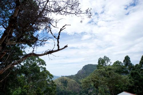 a view of the mountains through the trees at Apurvi Homestay in Ella