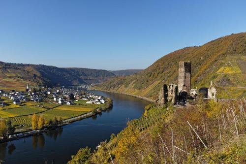 a river with a town on the side of a hill at Villa Beilstein in Beilstein