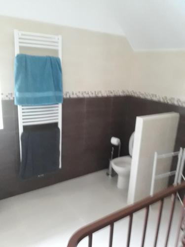 a bathroom with a toilet and a blue towel at la ville à la campagne in Lisieux