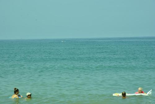 a group of people swimming in the water at the View Apartment in Makhinjauri