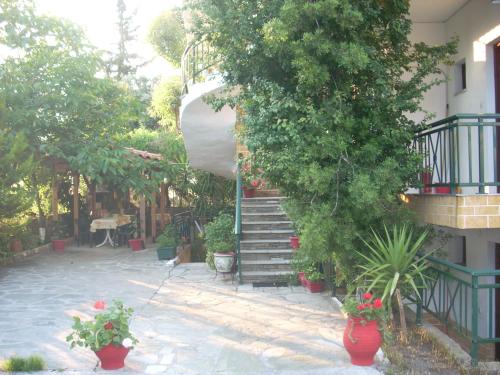 Jardín al aire libre en Panorama