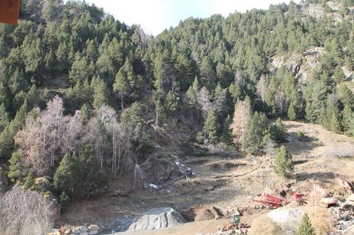 a view of a forest of trees on a mountain at Pont de Toneta 5,3 Ransol, Zona Grandvalira in Ransol